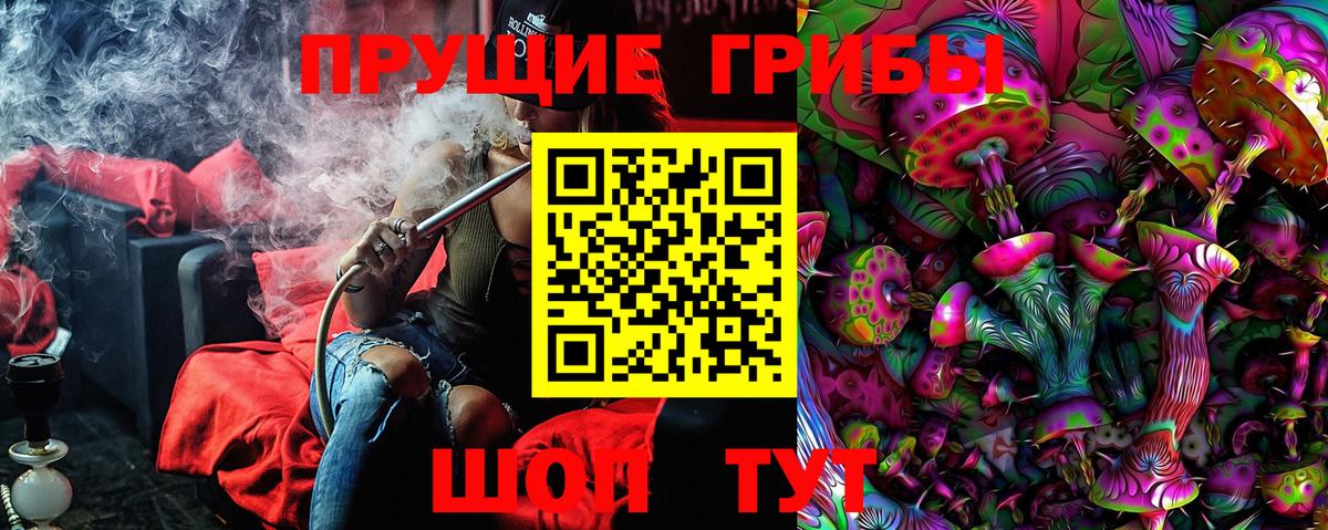 Удомля  что такое   Вход с VPN  Галлюциногенные грибы мицелий 