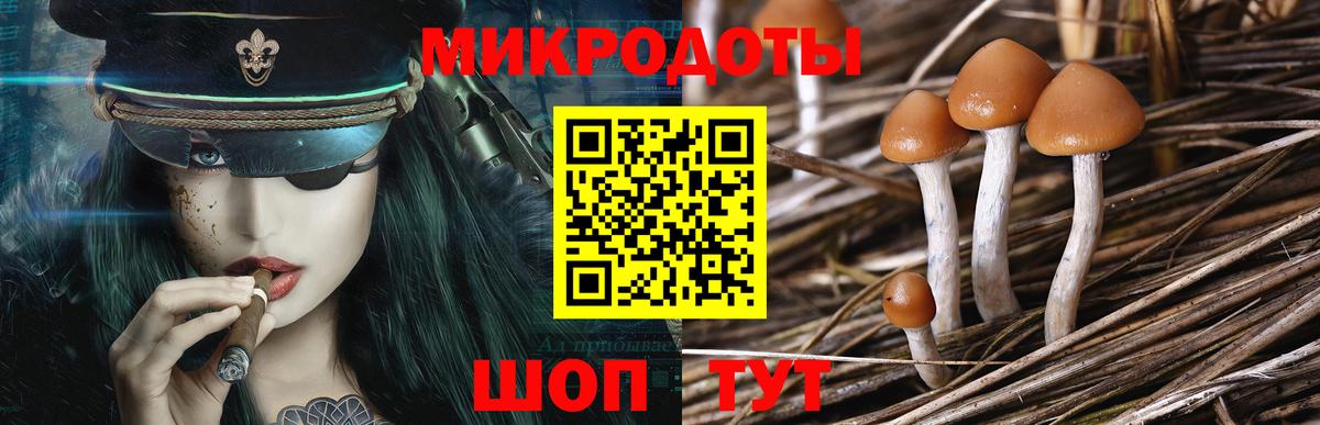 Псилоцибиновые грибы Magic Shrooms Удомля